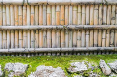 Taş yeşil yaprakları ile bambu çit  .
