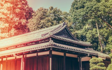 Tokyo, Japonya (Filtered pro görüntü güzel İmparatorluk Sarayı