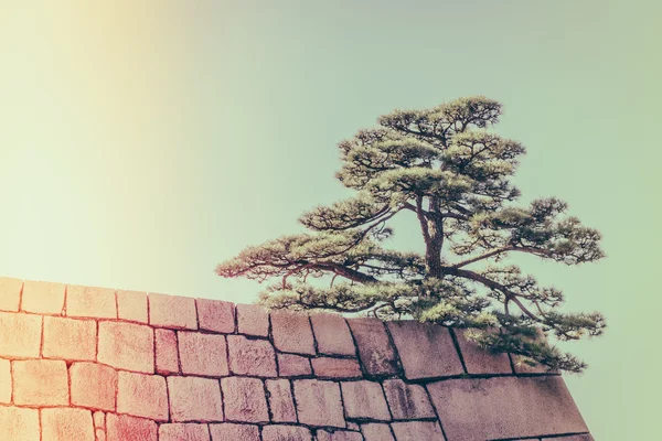 The foundation of a Castle tower of the Edo-jo Castle,Japan  ( F — Stock Photo, Image
