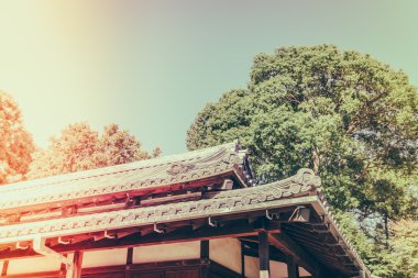 Tokyo, Japonya (Filtered pro görüntü güzel İmparatorluk Sarayı