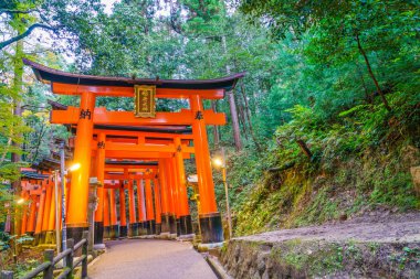 Kırmızı Tori kapıda Fushimi Inari tapınak tapınak Kyoto, Japonya
