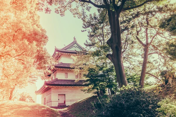 Krásný císařského paláce v Tokiu, Japonsko (filtrováno obraz pro — Stock fotografie