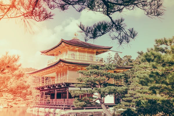 금 각 사 "교토, 일본 (필터에서에서 골든 파빌리온" — 스톡 사진