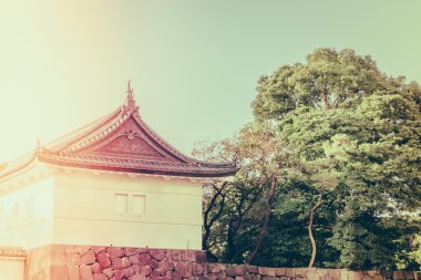 Tokyo, Japonya (Filtered pro görüntü güzel İmparatorluk Sarayı