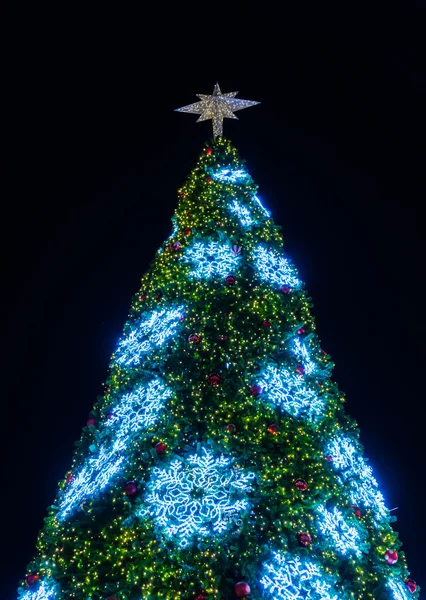 Arbre de Noël et décorations — Photo