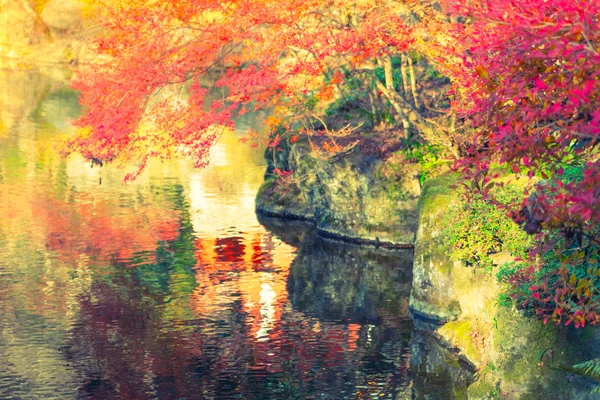 川と秋の森 (フィルター画像処理ヴィンテージ エフェ — ストック写真