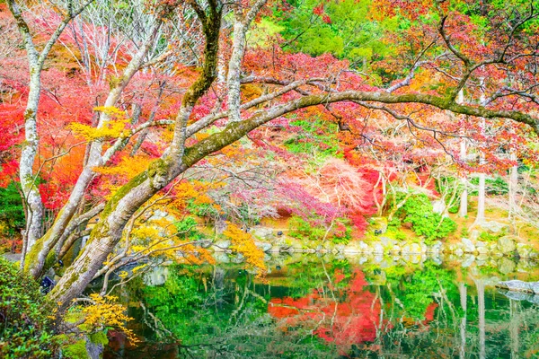 Floresta de outono com rio — Fotografia de Stock