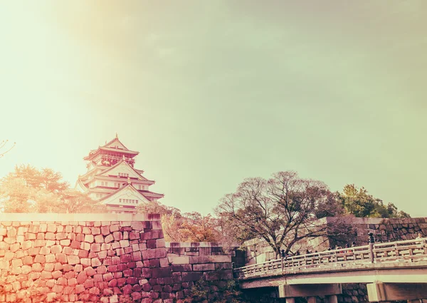 在日本大阪的大阪城堡 （筛选图像处理老式 e — 图库照片