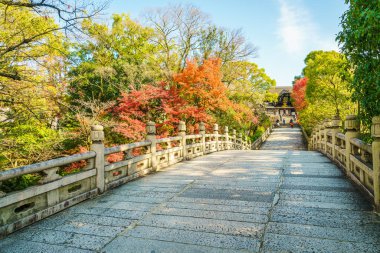 Güzel mimarisi Kiyomizu-dera Tapınağı, Kyoto, Japonya