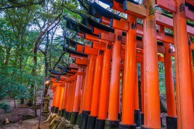 Kırmızı Tori kapıda Fushimi Inari tapınak tapınak Kyoto, Japonya
