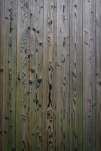 Деревянный Текстурный Фон Природа — стоковое фото