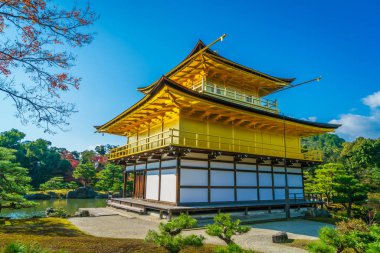 Kinkakuji Tapınağı 
