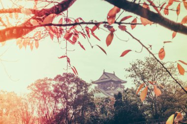 Japonya'nın Osaka Osaka Kalesi (filtre uygulanmış görüntü işlenen vintage e