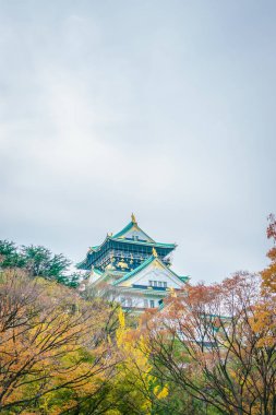 Osaka 'daki Osaka Kalesi