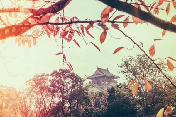 Japonya'nın Osaka Osaka Kalesi (filtre uygulanmış görüntü işlenen vintage e