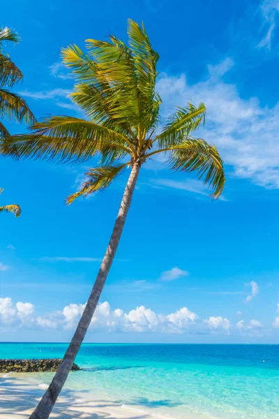 Güzel tropikal Maldivler Island, beyaz kumlu plaj ve deniz w