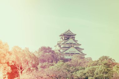Japonya'nın Osaka Osaka Kalesi (filtre uygulanmış görüntü işlenen vintage e