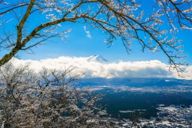 Dağ Fuji ağaçlar üzerinde buz kaplama ile