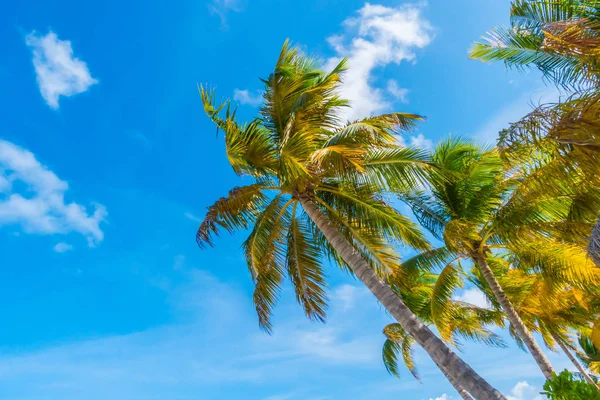 Wunderschöne tropische Malediven-Insel, weißer Sandstrand und Meer — Stockfoto