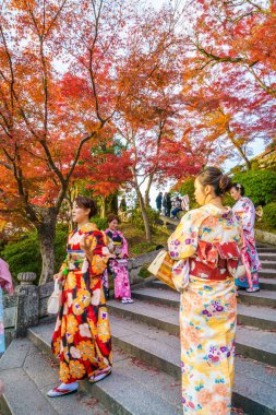 Kyoto, Japonya-ö. 2 Aralık: bir kimono giyen güzel genç kadın