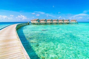 Güzel su Villa tropikal Maldivler Island  .