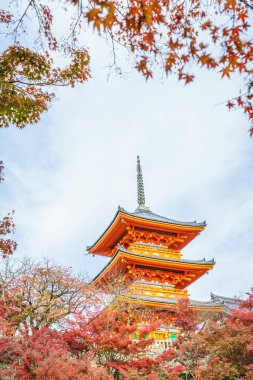 Güzel mimarisi Kiyomizu-dera Tapınağı, Kyoto, Japonya