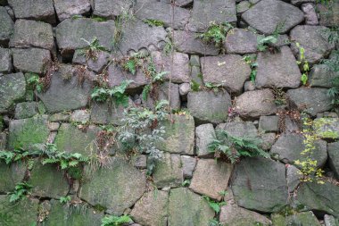 Taş duvar dokusu arkaplanı