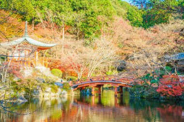 Recai-ji Tapınağı Güz, Kyoto, Japonya