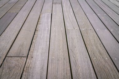 Ahşap doku arka planı. Doğa arkaplanı.