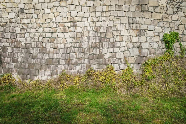 Taş duvar dokusu arkaplanı — Stok fotoğraf