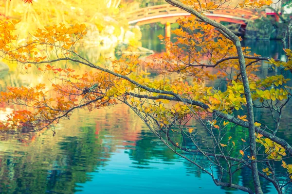 Φθινοπωρινό δάσος με ποτάμι (φιλτραρισμένο εικόνα επεξεργασία εκλεκτής ποιότητας effe — Φωτογραφία Αρχείου