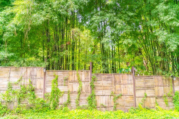 Bambusový plot s zelenými listy . — Stock fotografie