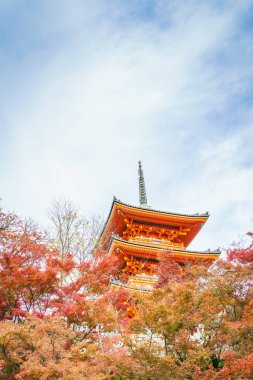 Güzel mimarisi Kiyomizu-dera Tapınağı, Kyoto, Japonya