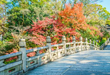 Güzel mimarisi Kiyomizu-dera Tapınağı, Kyoto, Japonya