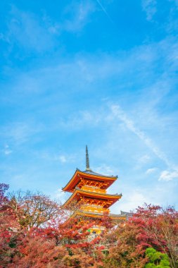 Güzel mimarisi Kiyomizu-dera Tapınağı, Kyoto, Japonya