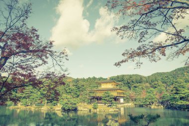 Kinkakuji Tapınağı 