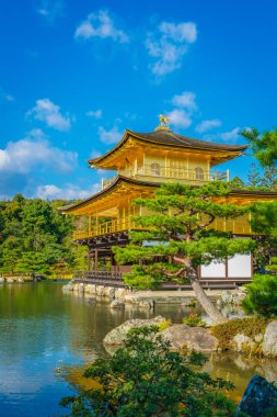 Kinkakuji Tapınağı 