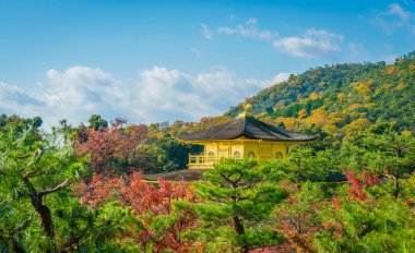Kinkakuji Tapınağı 