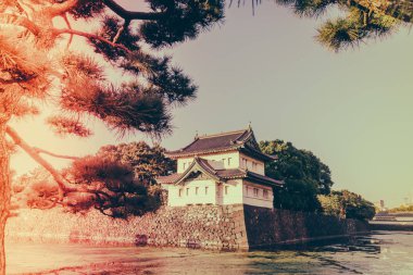 Tokyo, Japonya (Filtered pro görüntü güzel İmparatorluk Sarayı