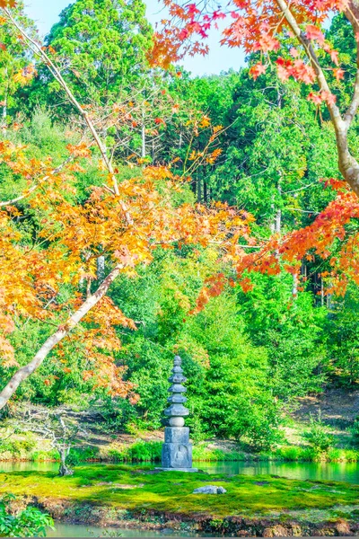 Hermosas hojas coloridas de otoño —  Fotos de Stock