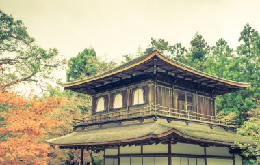 Ginkakuji Tapınağı - Kyoto, Japonya (filtre uygulanmış görüntü işlenen vint