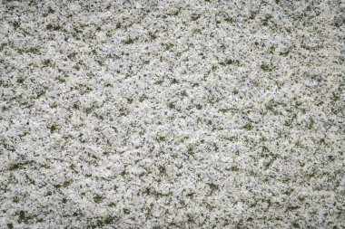 Taş duvar dokusu arkaplanı