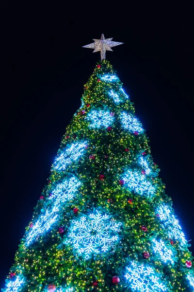 Christmas tree and decorations — Stock Photo, Image