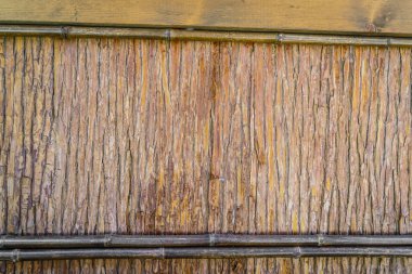 Ahşap doku arka planı. Doğa arkaplanı.