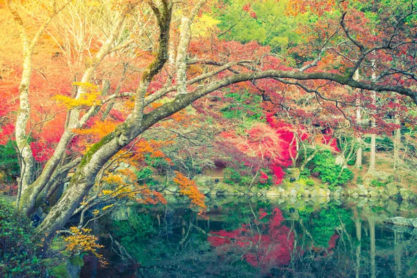 Herfst bos met rivier (gefilterde afbeelding verwerkt vintage effe — Stockfoto