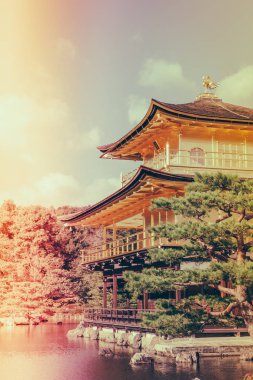 Kinkakuji Tapınağı 