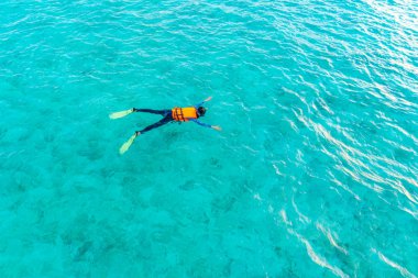 Tropikal Maldivler Adası dalış .