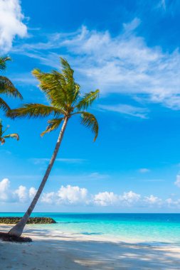 Güzel tropikal Maldivler Island, beyaz kumlu plaj ve deniz w