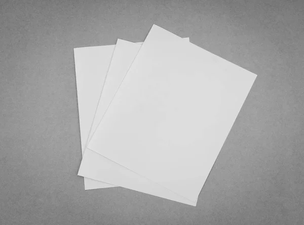 Papel modelo branco bifold no fundo cinza  . — Fotografia de Stock