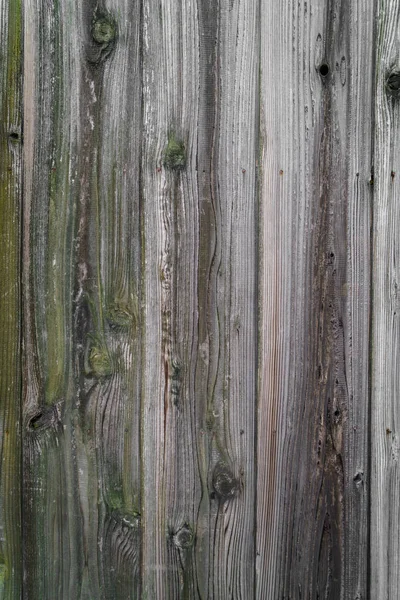 Trä Textur Wood Bakgrund — Stockfoto